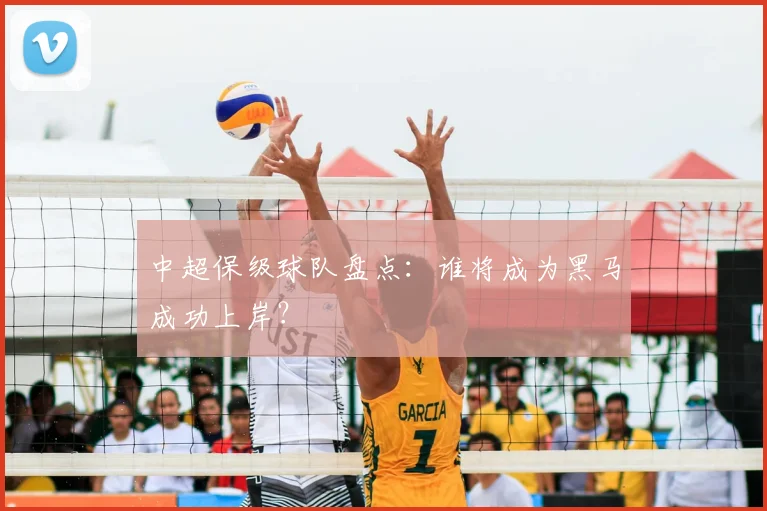 中超保级球队盘点：谁将成为黑马成功上岸？